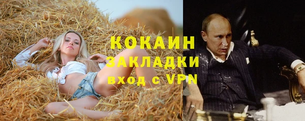 бошки Алзамай